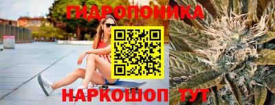 наркотики Сланцы