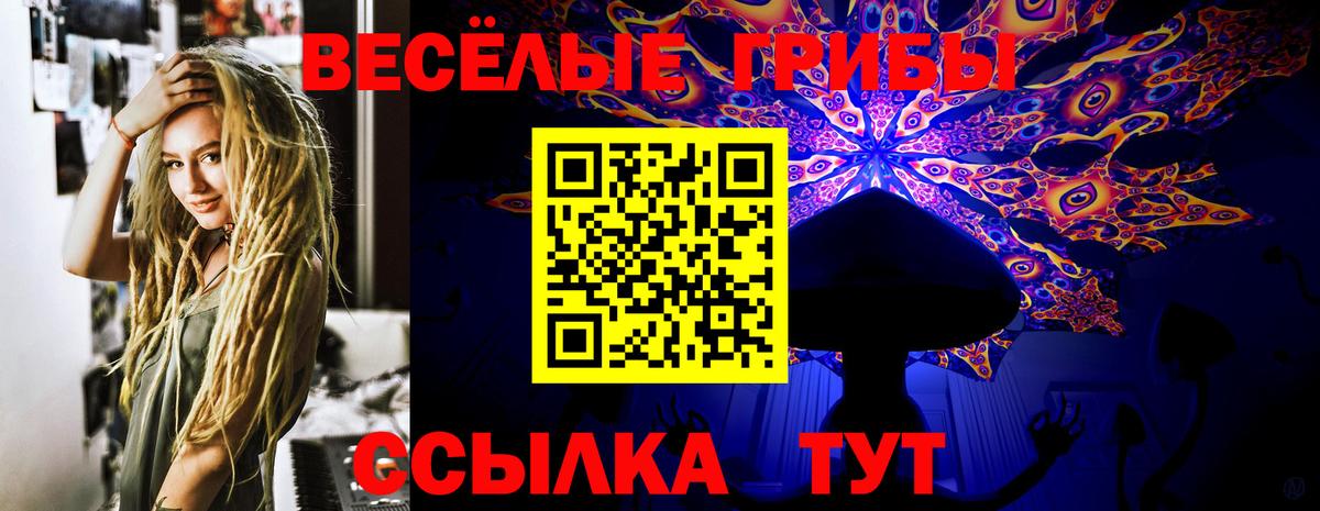 Сегежа  Галлюциногенные грибы мухоморы  Вход с VPN 